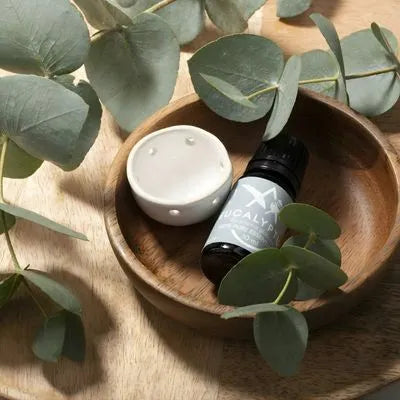 Saunum Sauna Aromaöl Set mit Eukalyptusöl, Schale und Eukalyptusblättern